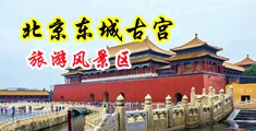 美女被插鸡巴网站中国北京-东城古宫旅游风景区